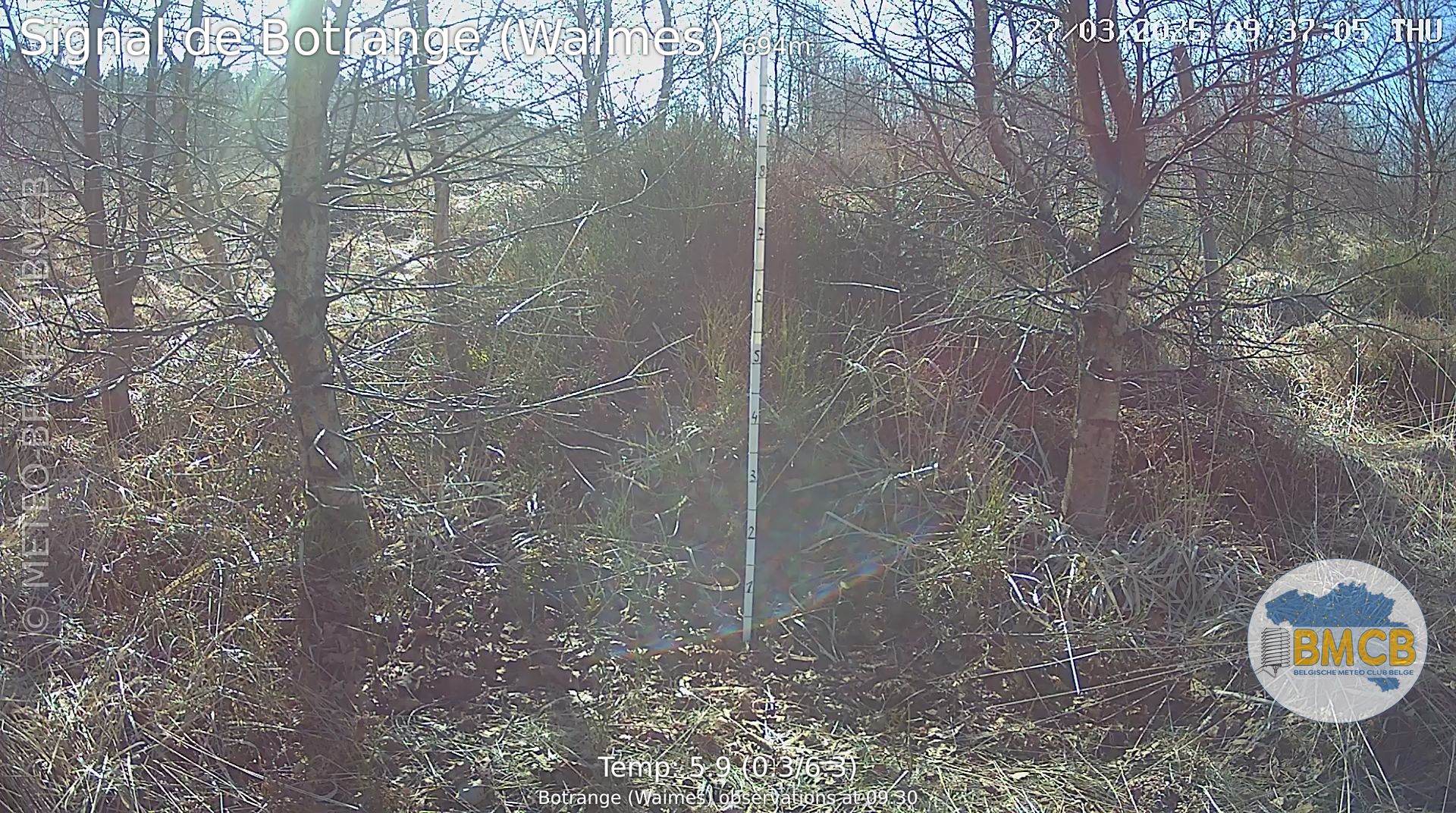 Snowcam Botrange (Waimes)