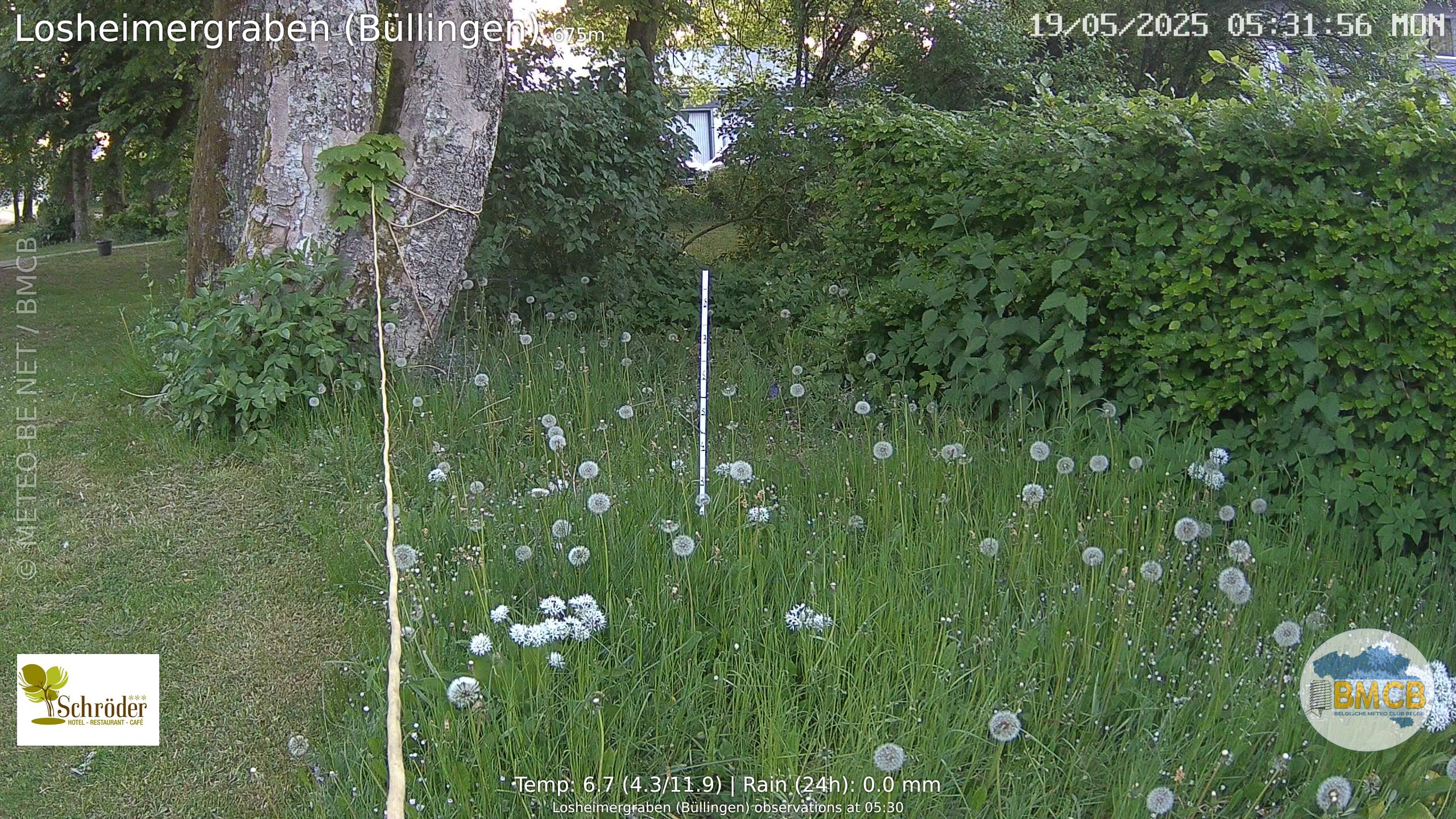 Snowcam Losheimergraben (Büllingen)