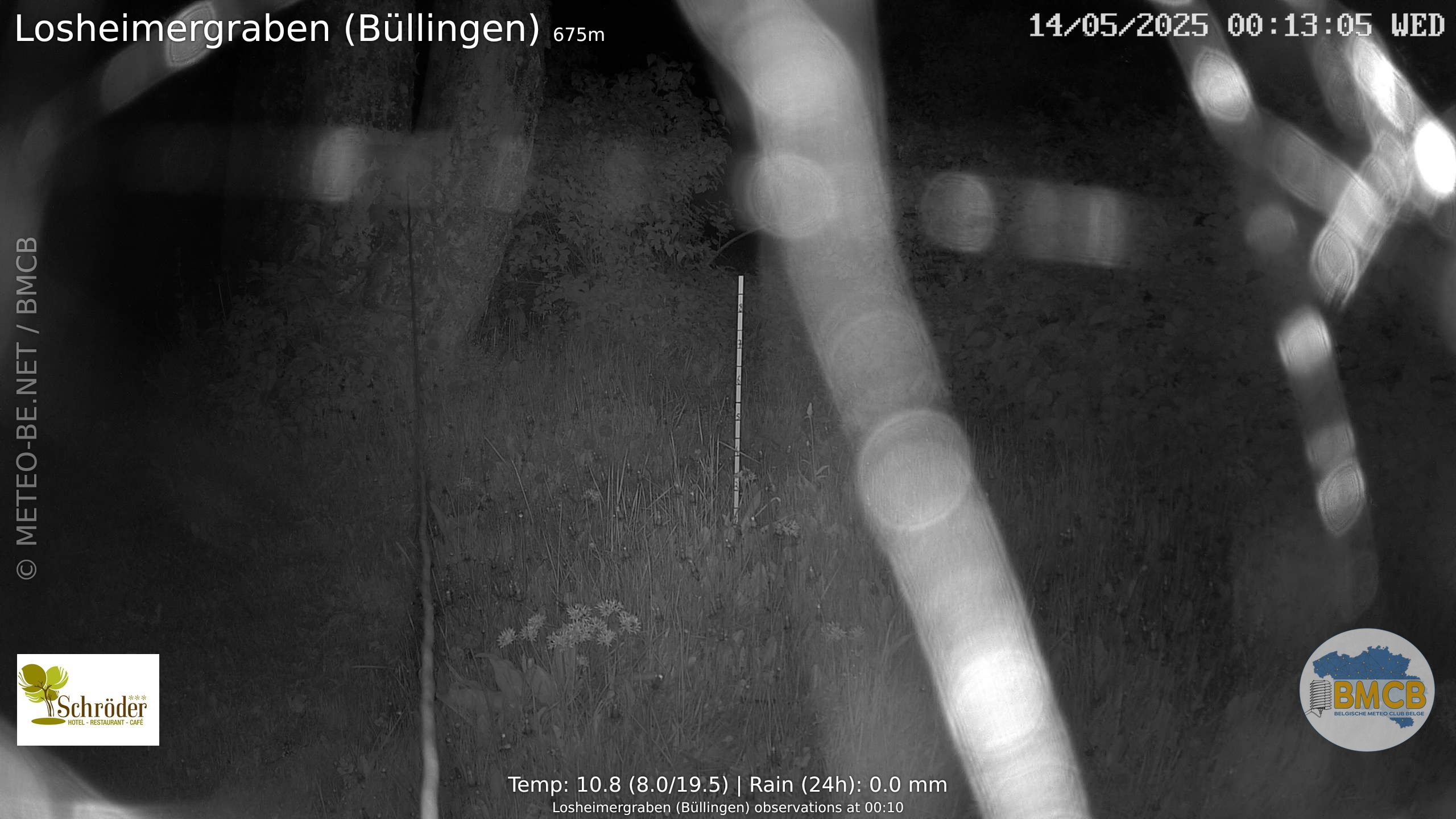 Snowcam Losheimergraben (Büllingen)