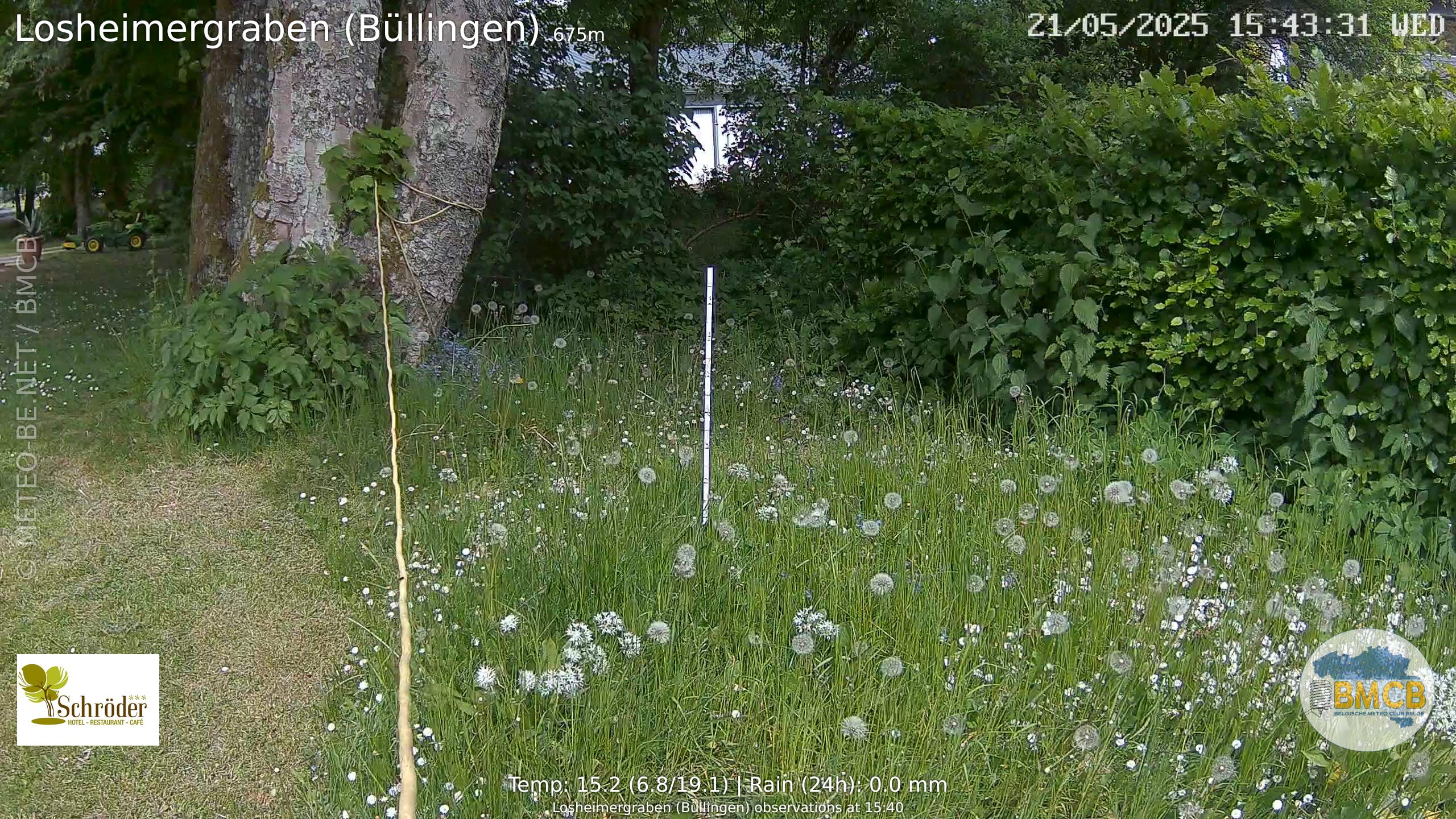 Snowcam Losheimergraben (Büllingen)